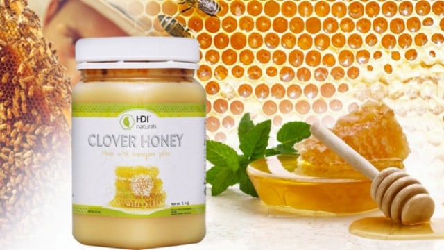 CLOVER HONEY